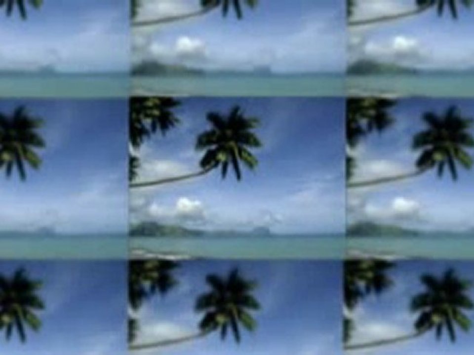 Make Money From Home With Royal Cruise Matrix, Wealth