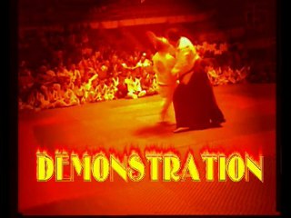 REAL AIKIDO - KNIFE FIGHTING