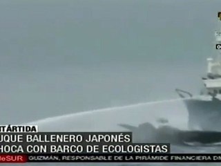 Buque ballenero choca a barco ecologista