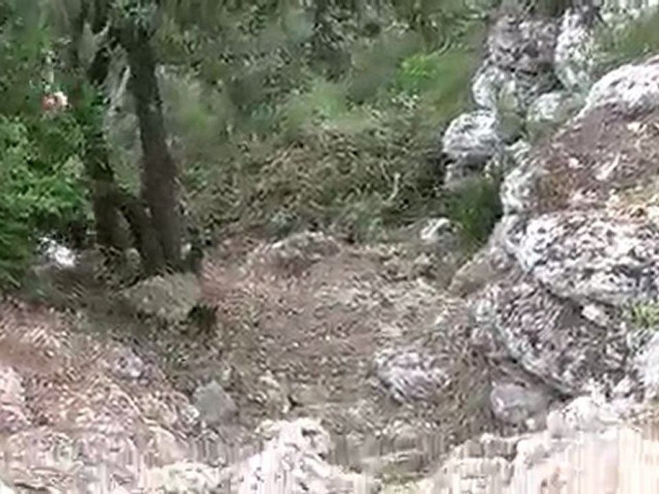 00046 moto trial