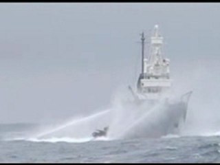 Ady Gil speronata da baleniera giapponese