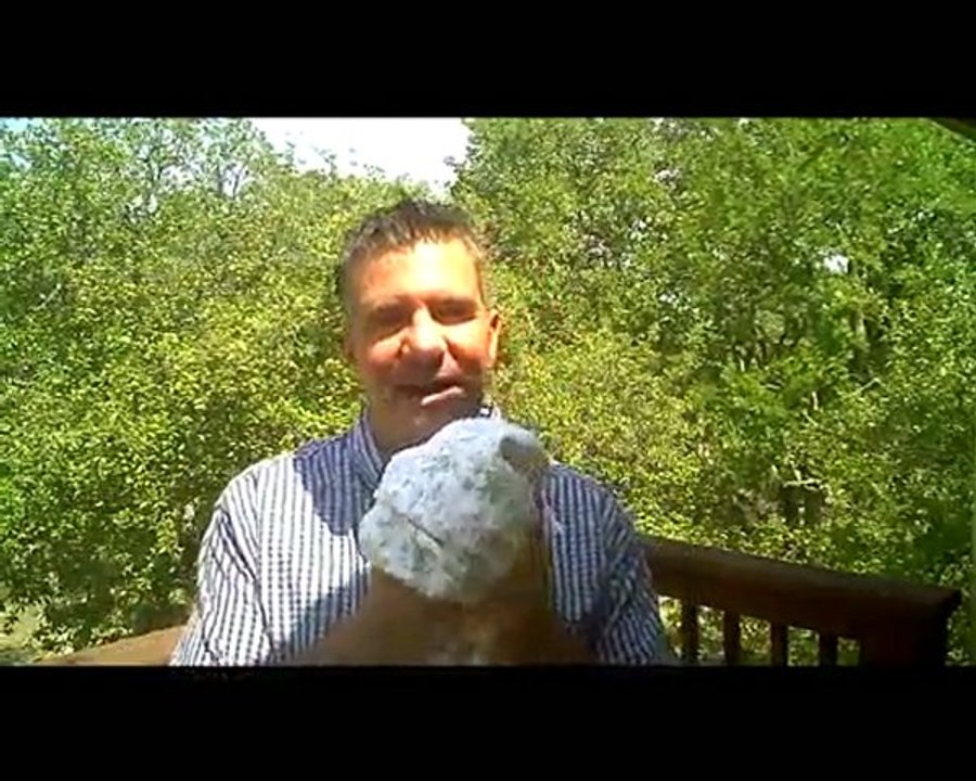 "Entrepreneurs Home Based Business":What is the Best Advice