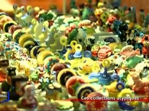 Portrait d'un collectionneur de fèves (Le Poiré-Sur-Vie)