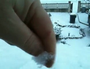 Neige Le 7/01/2010