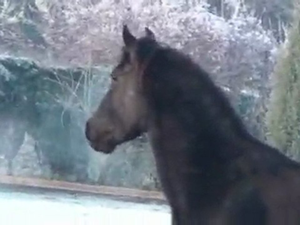Petite séance en libertée