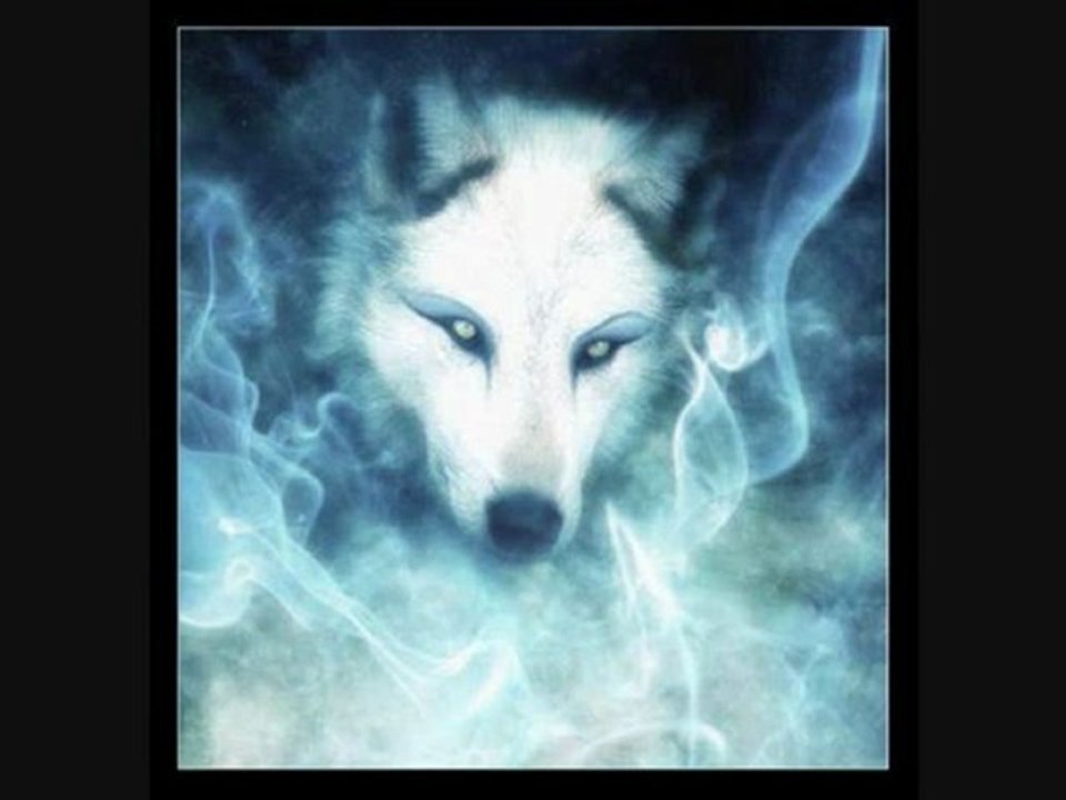 silver loup