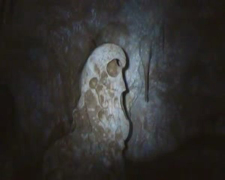 SPELEO  le fanfôme de la racine
