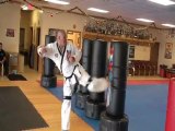 Tae Kwon do bag kick training