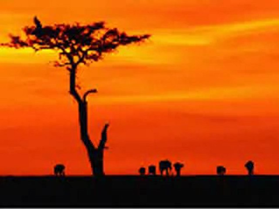 " Africa " de Rose Laurens chanté par Serge Boudot.