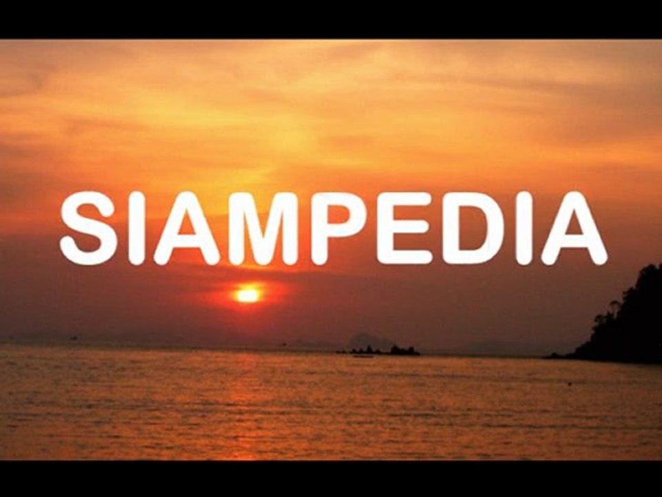 Turtles on a Thai Beach