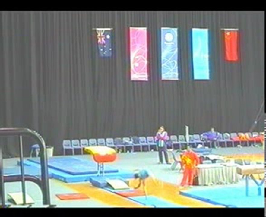 Gymnastics - 2005 Australia vs China - Thomas Pichler - VT