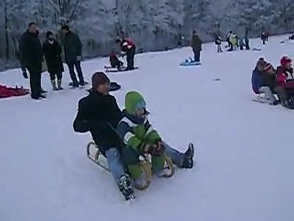 Schlittenfahren in den Wienerwald 06-01-2010