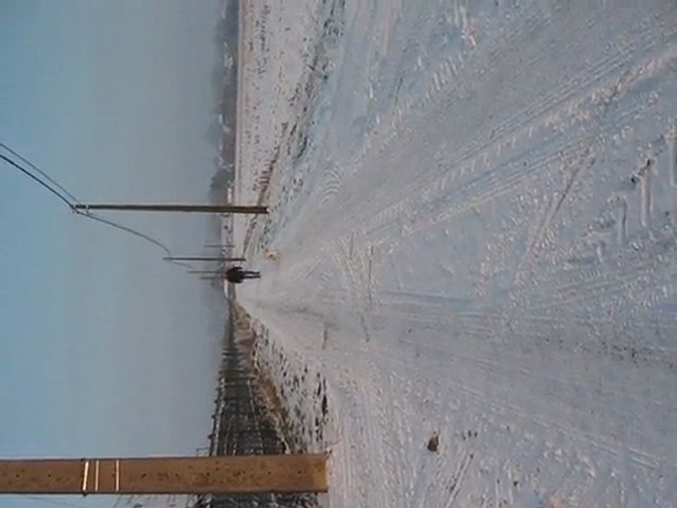 Sprint dans la neige de mes bichons