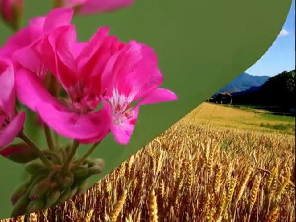 creation