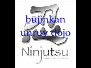 bujinkan unryu dojo