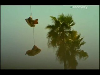 Los Angeles : Au coeur des gangs 2/3