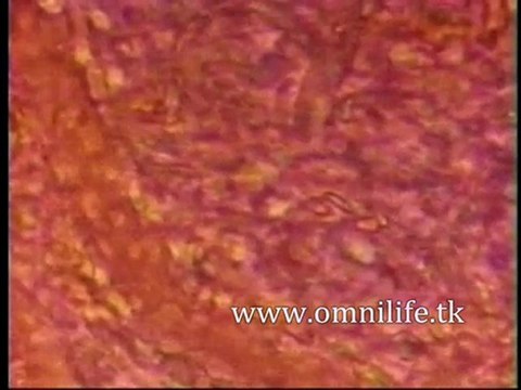 Comprar Productos Omnilife, Venta de productos omnilife