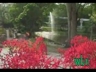 WASHINGTON BANGLA RADIO | Mou Sanyal - Tumi Ashbe Bole