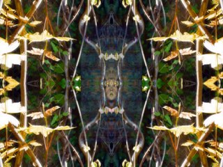 Ô coeur des bois _ iTi Hat - grandir sur Terre