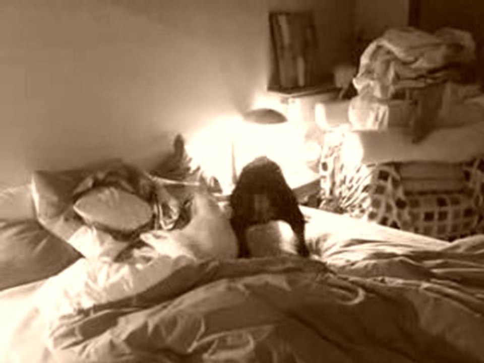 V070110_23.05[01]