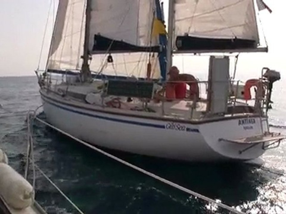 antinea