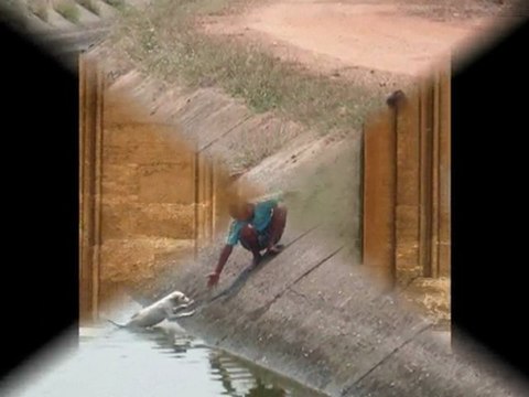 aşk -ömer faruk tekbilek