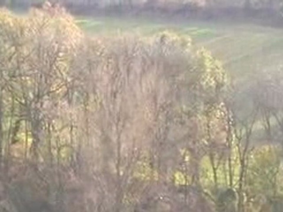 ah! la musique des chiens courant qui ménent.