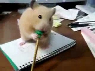 O kadar Acıkmış ki :)