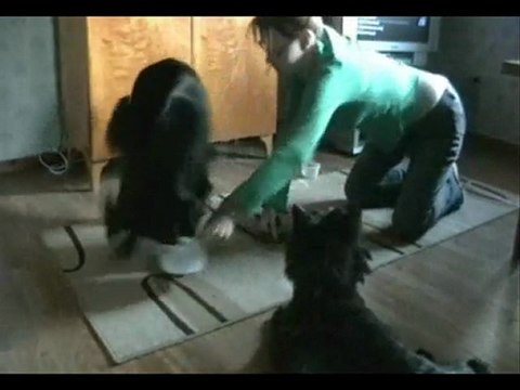 Putting two bowls together - part two