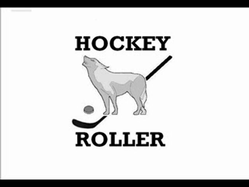 roller 2010 chateau thierry castel roller club