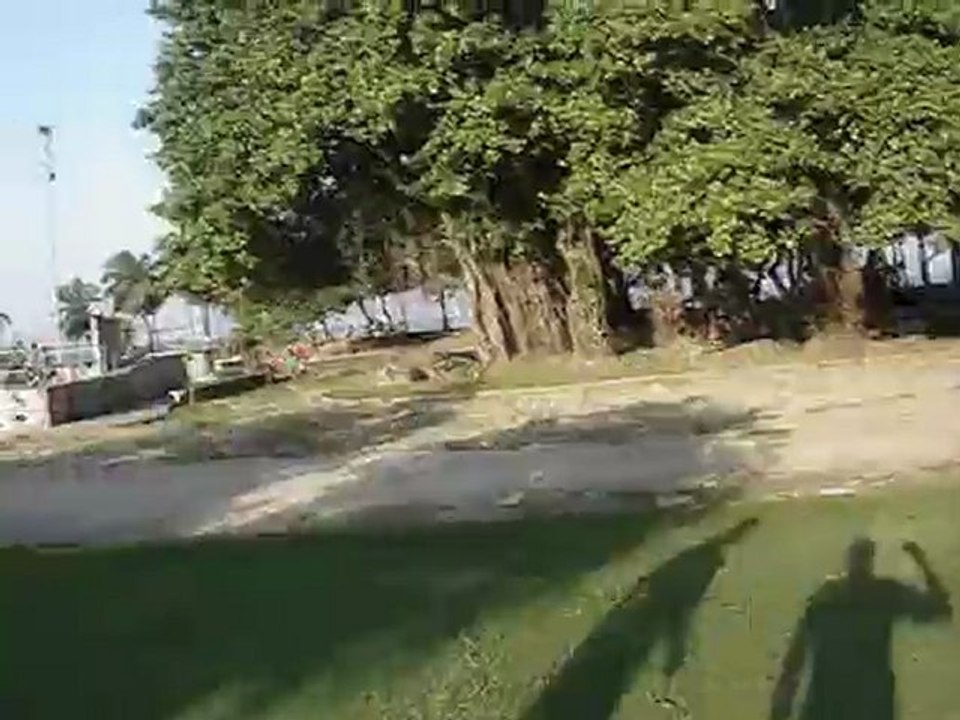 Another skate day