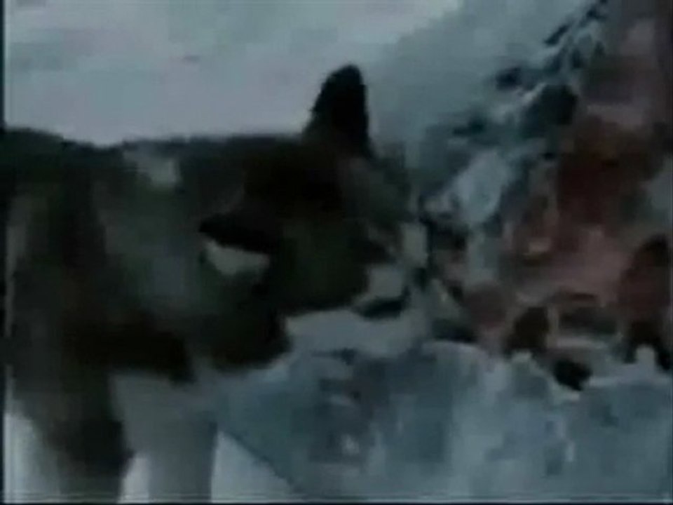 Bu Videodan Sonra Bir Su için