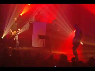 Trisomie 21 - Logical Animals