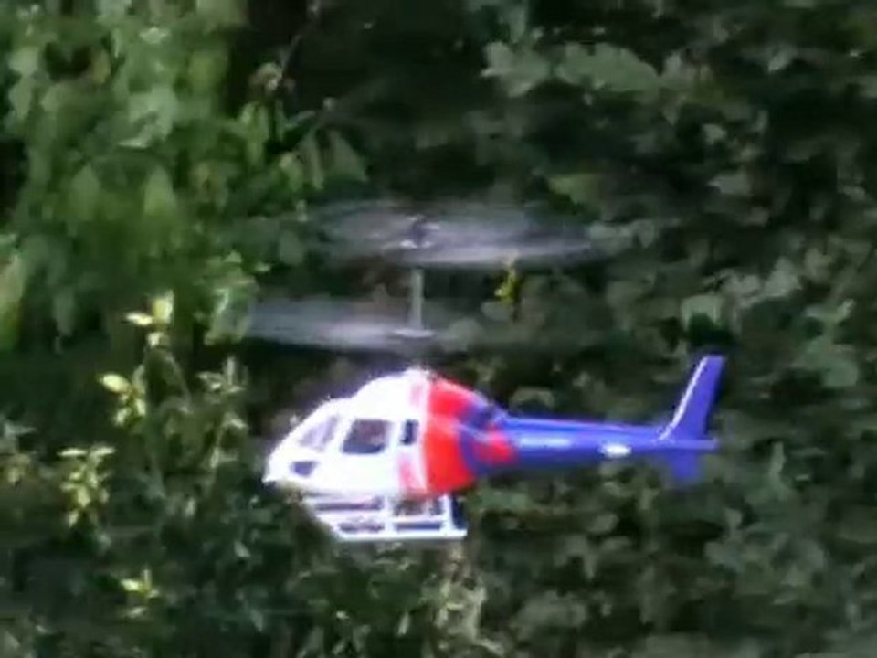 Esky Big Lama - Flying in the garden