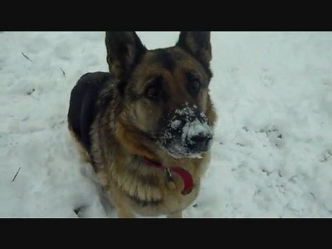 Une journée dans la neige aux Amis des Bêtes Aix les Bains