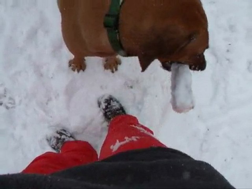 08-01-2010 cilda