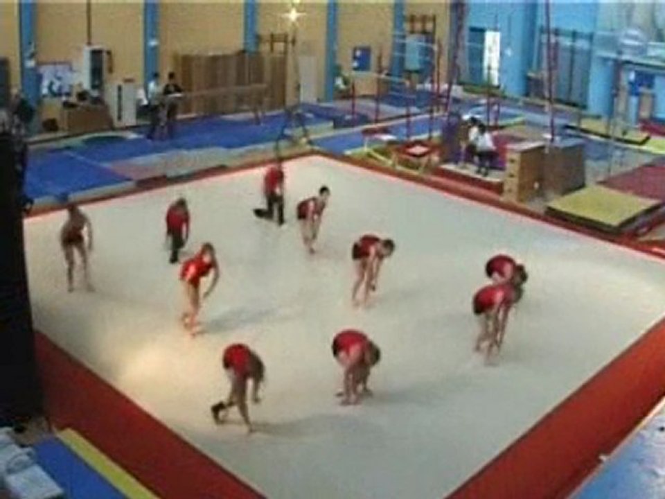 Gymnaestrada Rennes STAPS Rennes Spécialité Gym