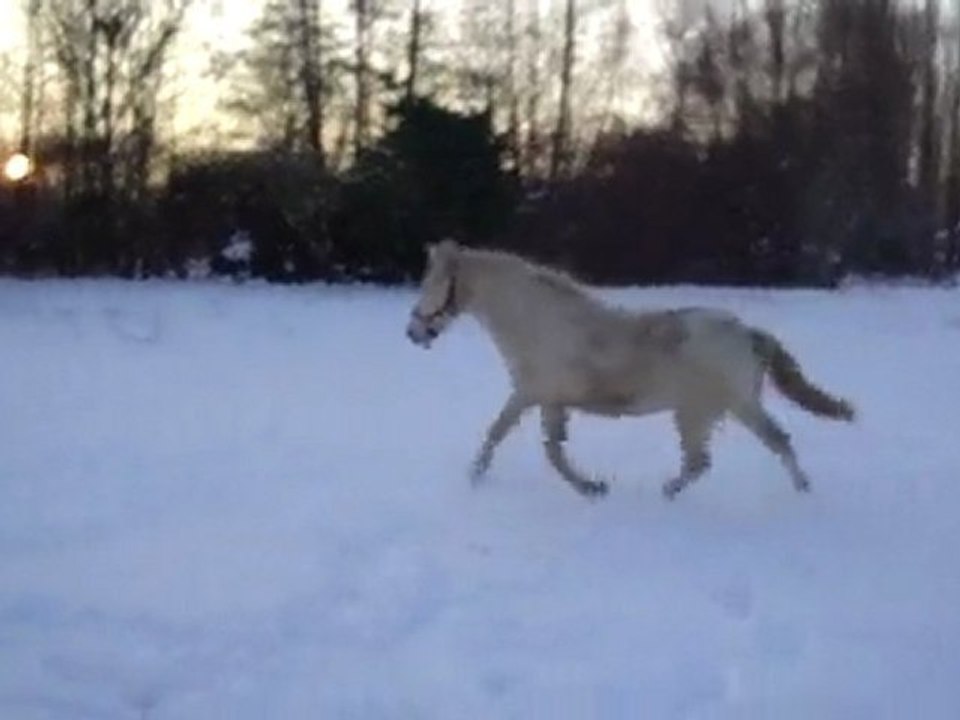 UNNY FLOWER DU BLIN NEIGE