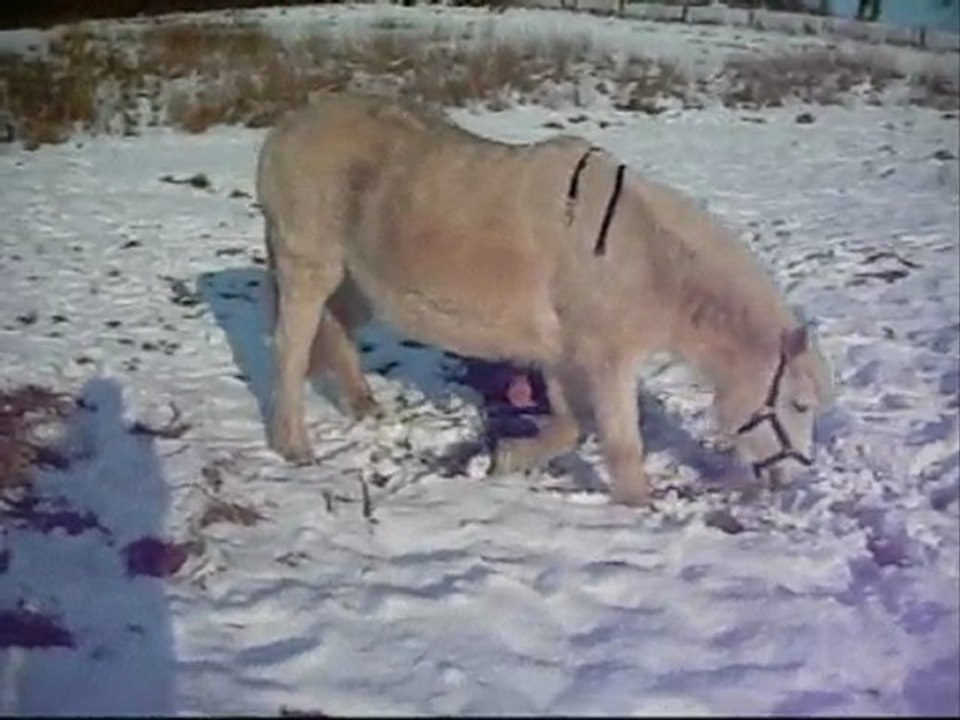 08 janvier 2010 avec Vénuse