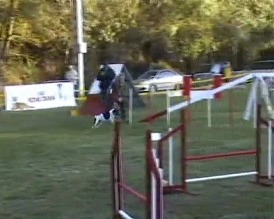 agility-automne-2009