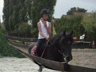 Mon Cheval & Moi !