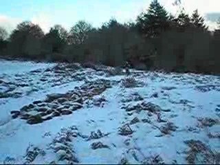 entrainement franchissement rondin / pierrier en 300 ec