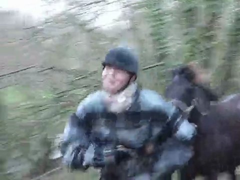 Princesse entraînement TREC Haie & Tronc