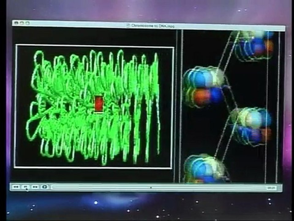Adnan Oktar röportajı hucre bolunmesi kromozomlar