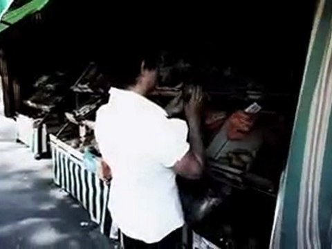 CASEY Apprends a t'taire