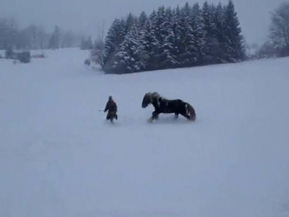 Tao balade en liberté