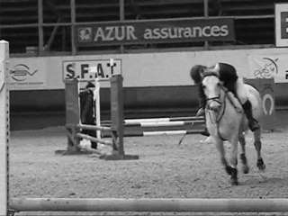 Kango. Déjà 1 an de concours <3