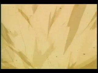 Amv Sonic Version Sonic OAV