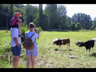 Meilleurs voeux 2010