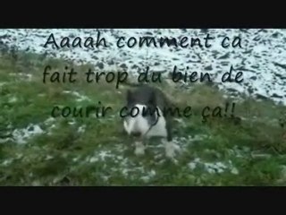 tess pète son cable!